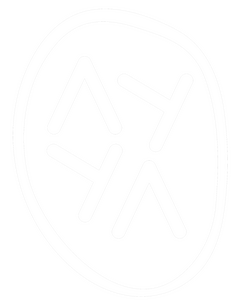 AYYA logo